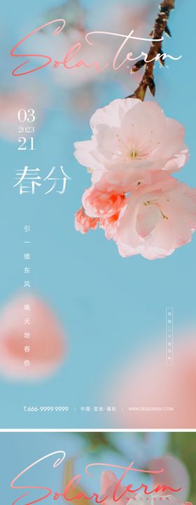 春分节气海报