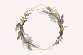 叶子边框花朵插图绿花卉插画花卉背景