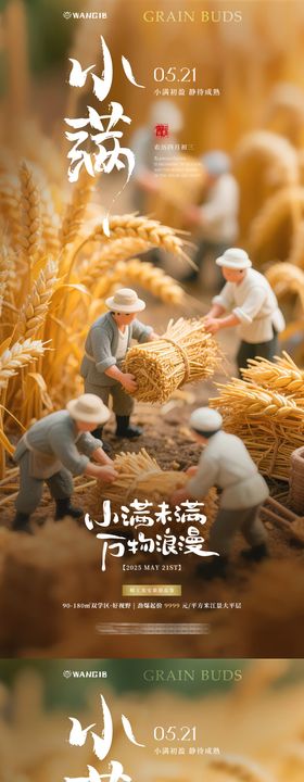 小满微缩海报