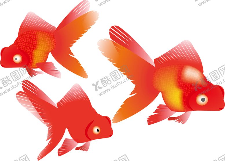 编号：23165810190122153983【酷图网】源文件下载-锦鲤