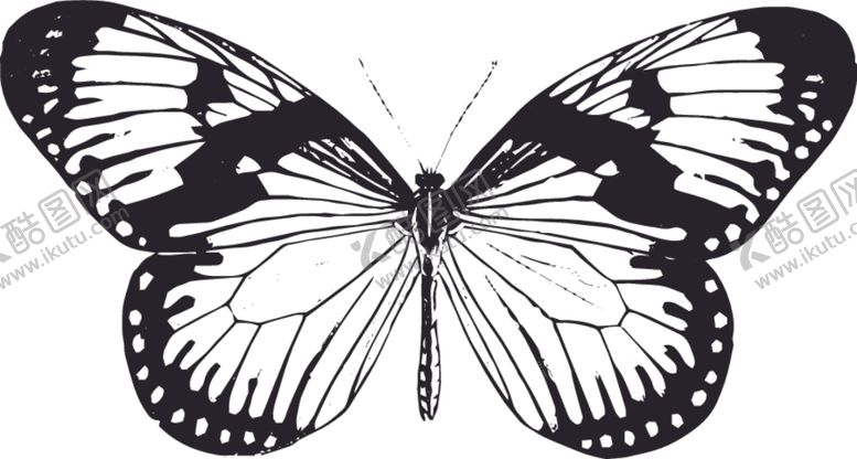 编号：39458110161228386391【酷图网】源文件下载-自然昆虫蝴蝶标本插画