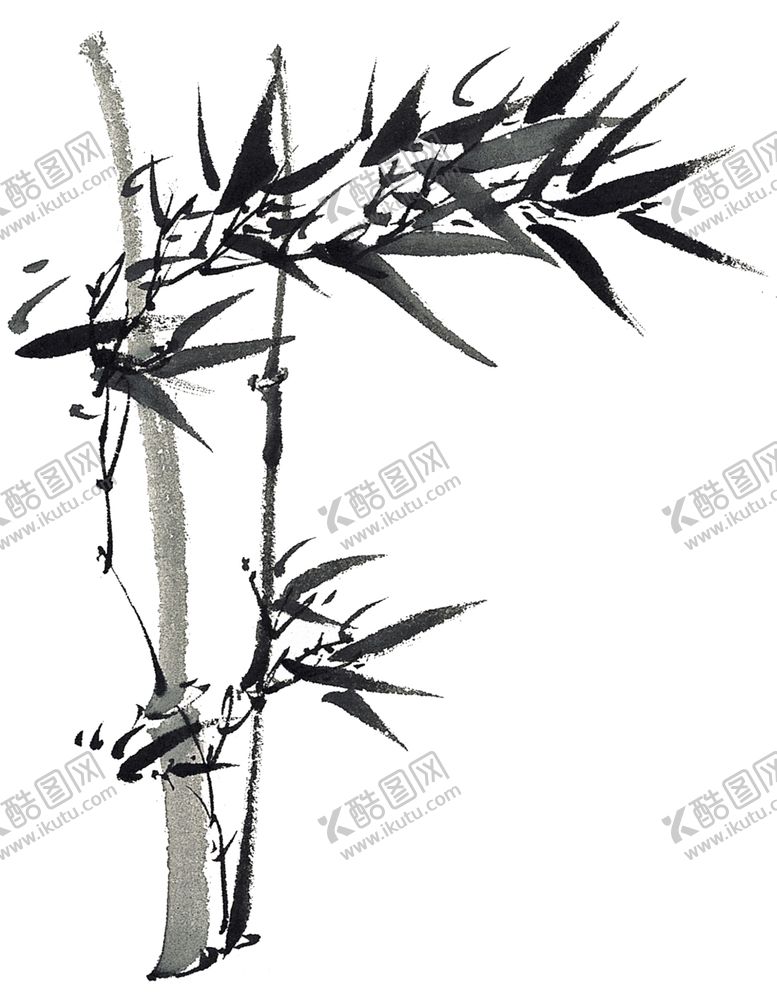 编号：94375706240245267664【酷图网】源文件下载-竹子竹林绿色竹叶风景