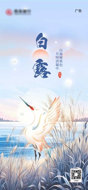 白露节气海报