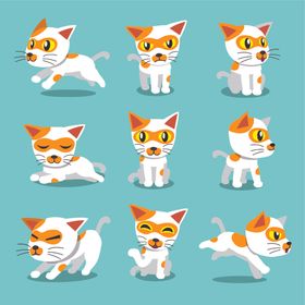 可爱小猫