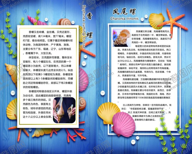 编号：60930910310627366787【酷图网】源文件下载-海洋馆