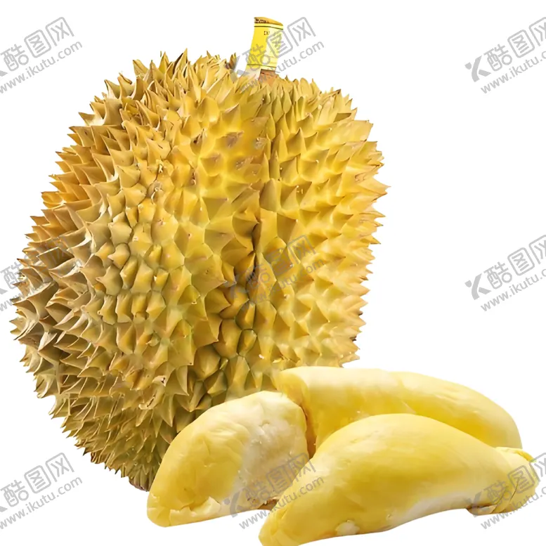 编号：34625701272021176934【酷图网】源文件下载-榴莲