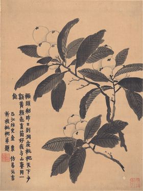 植物花草图案设计