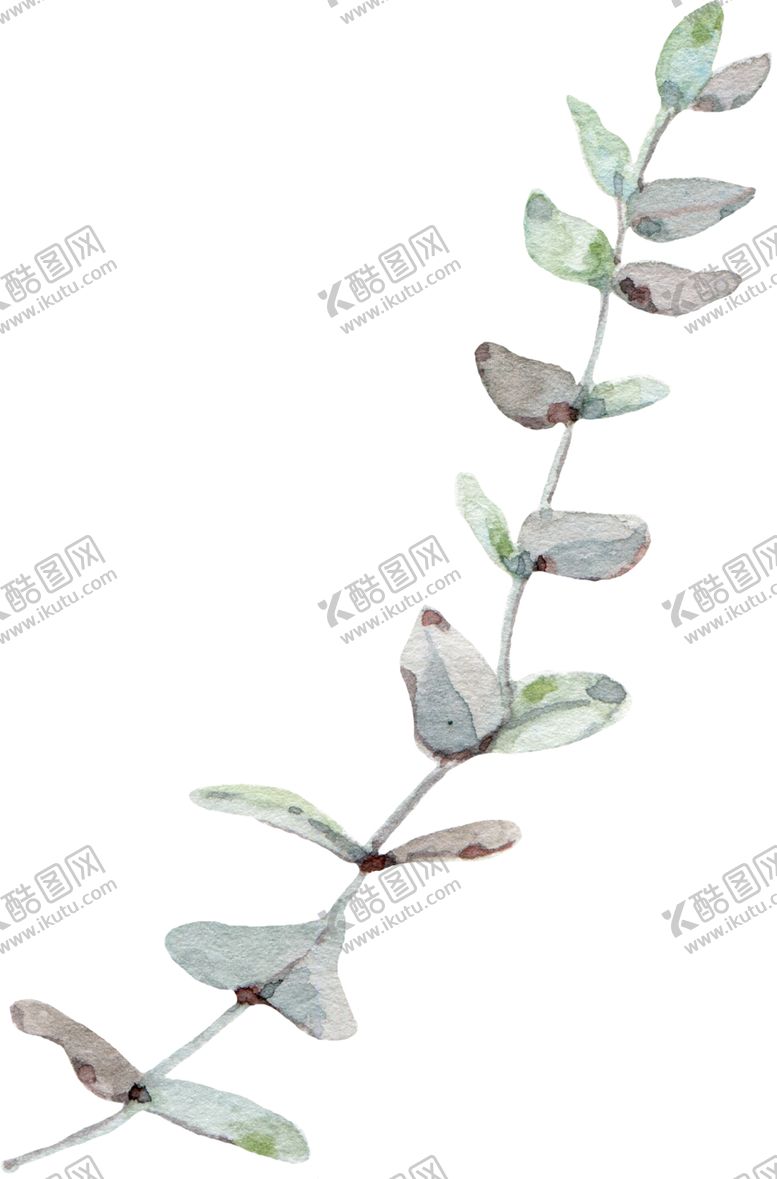 编号：95437807140446518324【酷图网】源文件下载-手绘植物