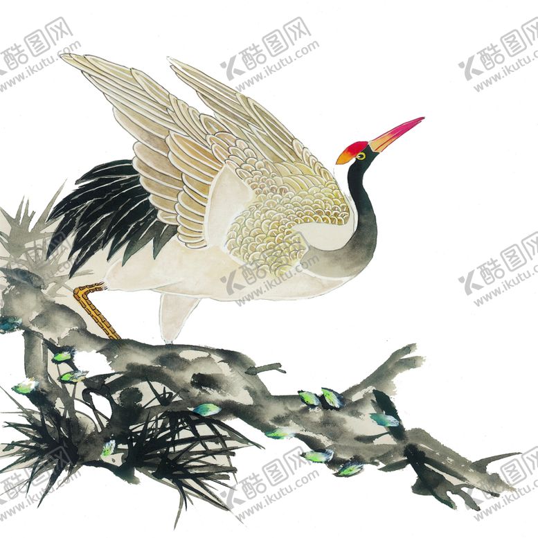 编号：17621807041638301773【酷图网】源文件下载-丹顶鹤