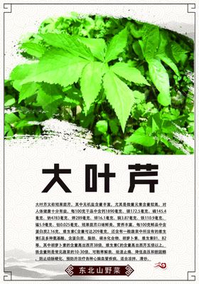 东北山菜