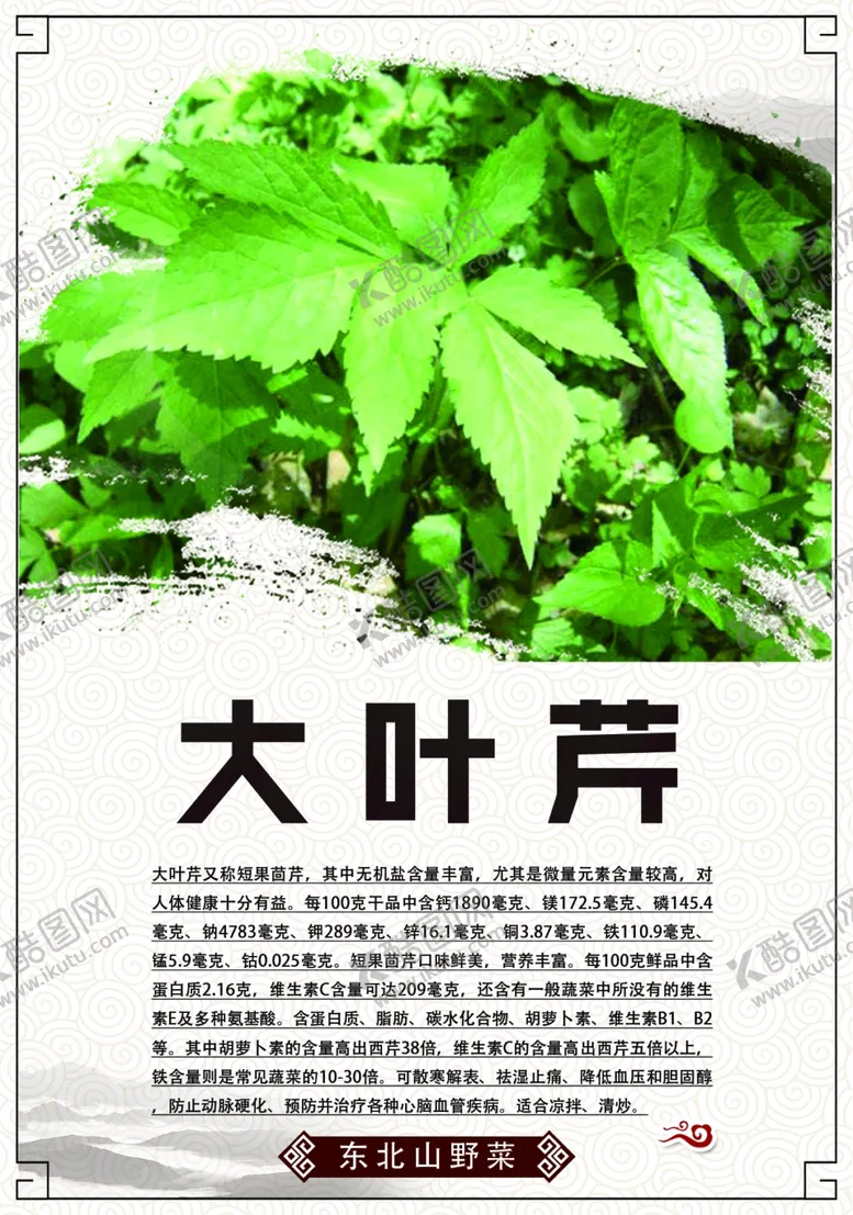 编号：53649406302043575222【酷图网】源文件下载-东北山菜