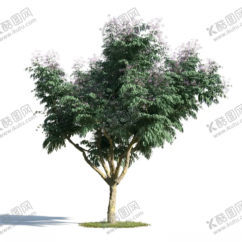 编号：85791802100755369233【酷图网】源文件下载-C4D模型树