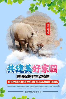 动植物保护宣传单