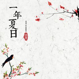 国风主图简约背景电商中
