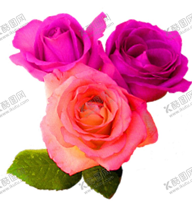 编号：79468509272340295808【酷图网】源文件下载-鲜花装饰