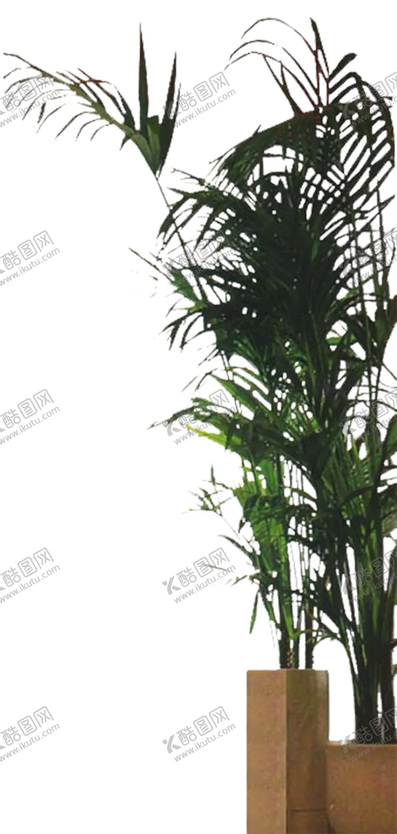 编号：78199107012257597968【酷图网】源文件下载-绿色植物