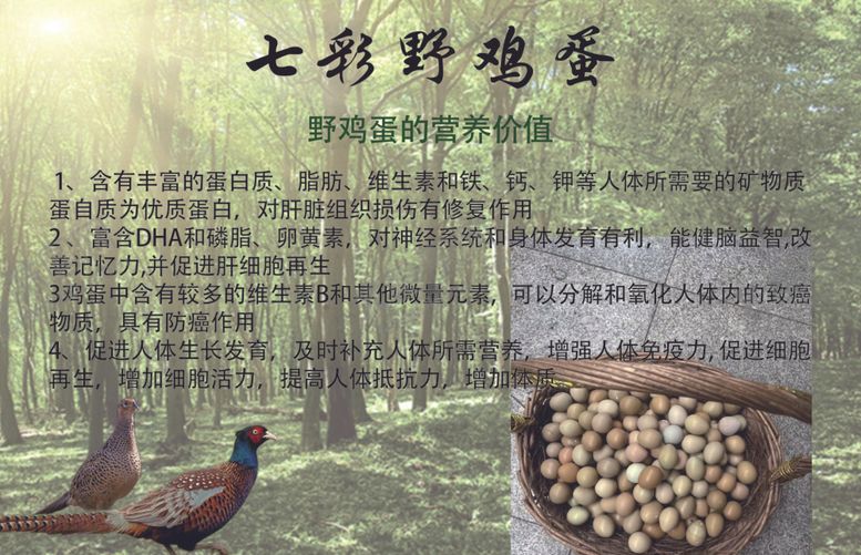 编号：54651002030436269241【酷图网】源文件下载-七彩野鸡蛋