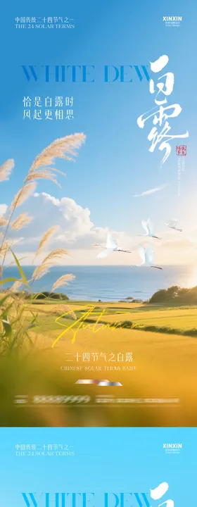 地产白露芦苇风景摄影海报