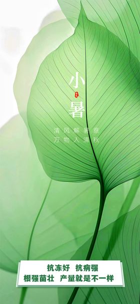 小暑地产朋友圈中式