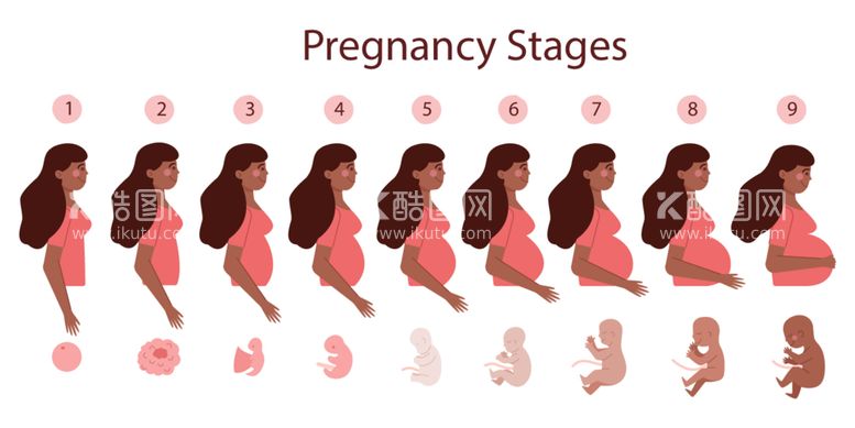 编号：60366112220056437147【酷图网】源文件下载-孕妇相关