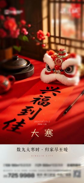 地产传统节气大寒节气海报