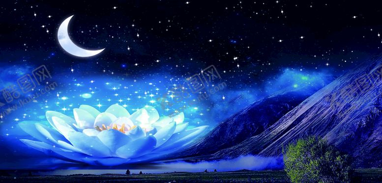编号：08327609202127501947【酷图网】源文件下载-星空兰花