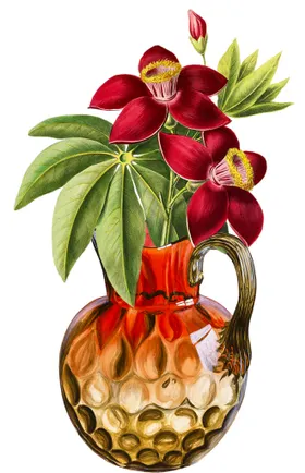 花卡通手绘朵鲜