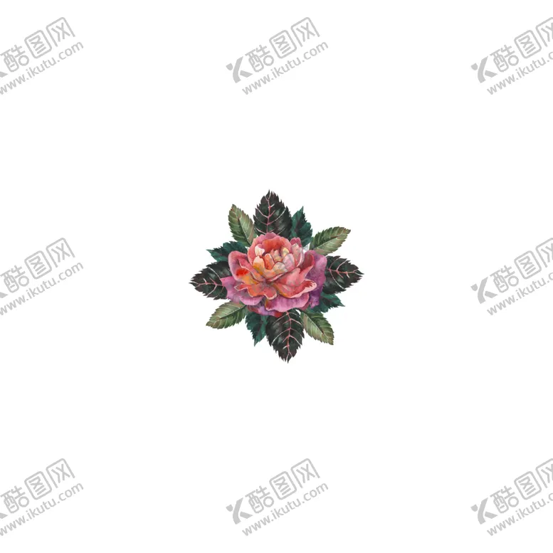 编号：66613402150916112067【酷图网】源文件下载-手绘植物花草