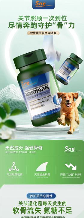 鲨鱼关节软骨素宠物猫狗药氨糖详情页