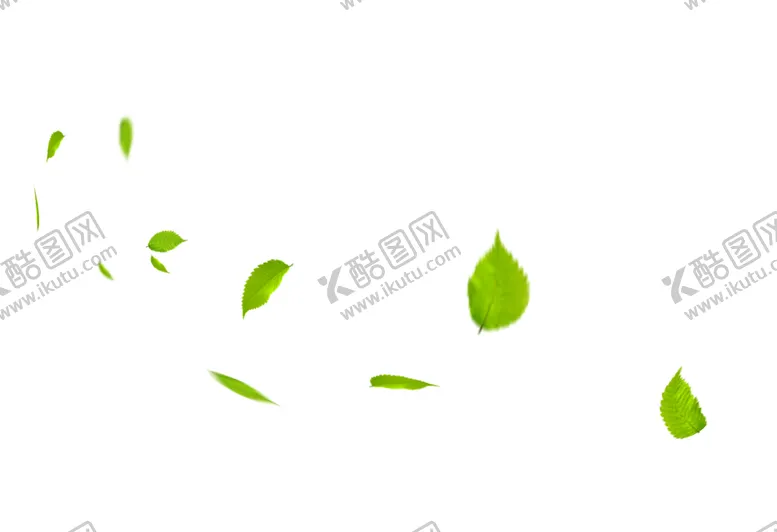 编号：20998306241930088411【酷图网】源文件下载-叶子
