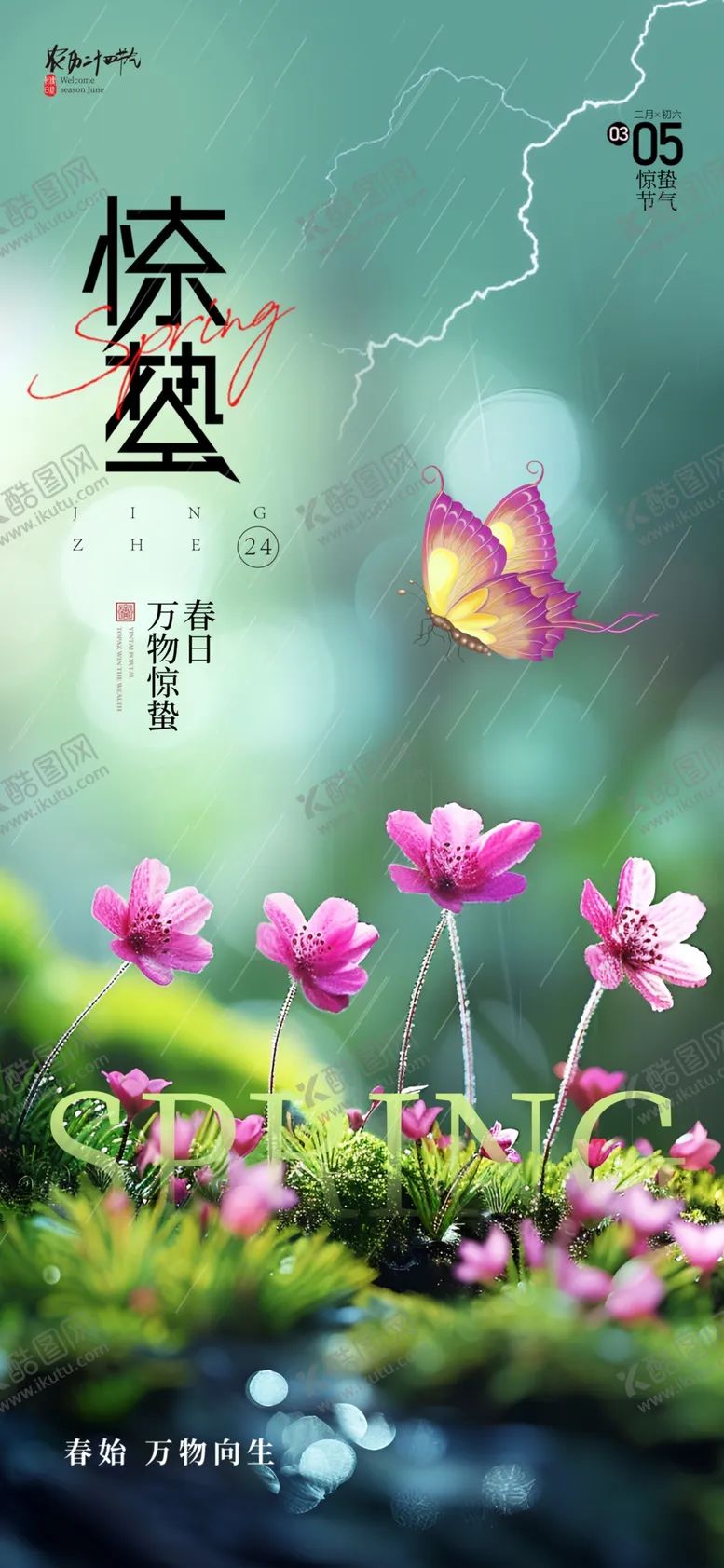 编号：12861503080026558595【酷图网】源文件下载-简约春日花朵24节气惊蛰海报