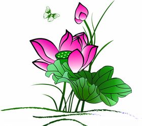 荷花