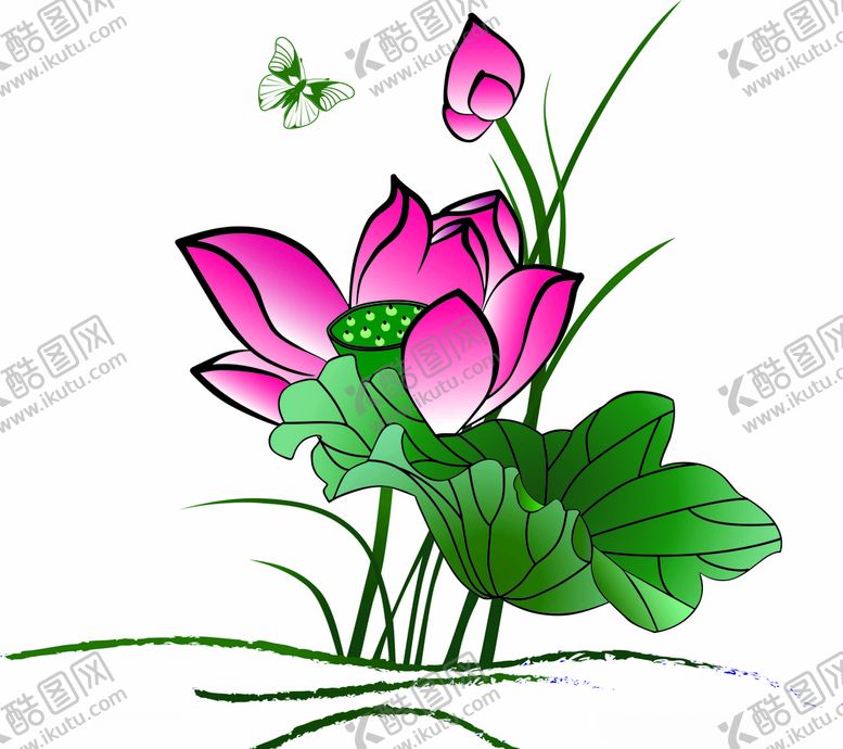编号：41254506180710451568【酷图网】源文件下载-荷花