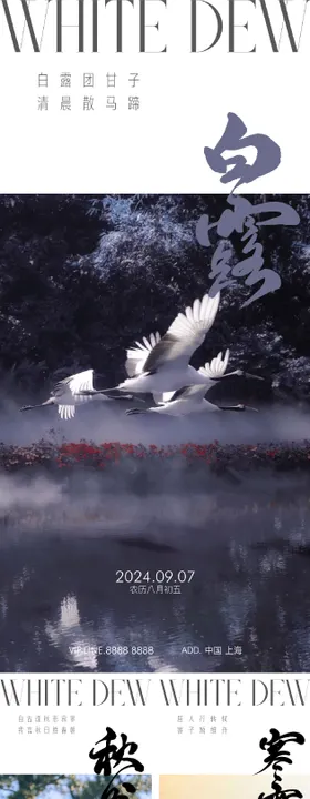白露节气系列海报