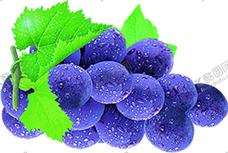 编号：51350210131229115424【酷图网】源文件下载-葡萄