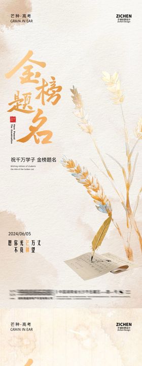 芒种高考金榜题名插画海报