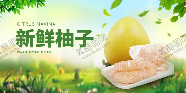 编号：28738404211923116248【酷图网】源文件下载-新鲜柚子