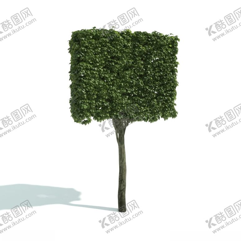 编号：94931302090721312301【酷图网】源文件下载-C4D模型绿色植物