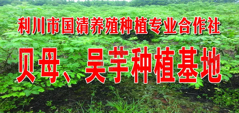 编号：67243909250631308052【酷图网】源文件下载-贝母种植基地 吴芋