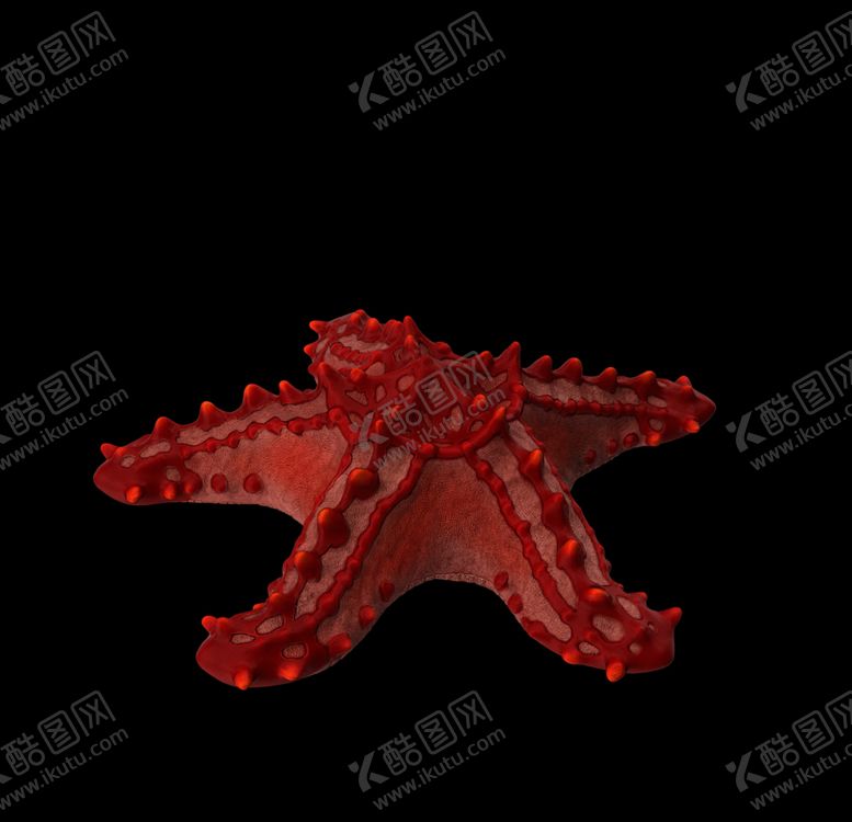 编号：55544210140503482666【酷图网】源文件下载-海洋生物