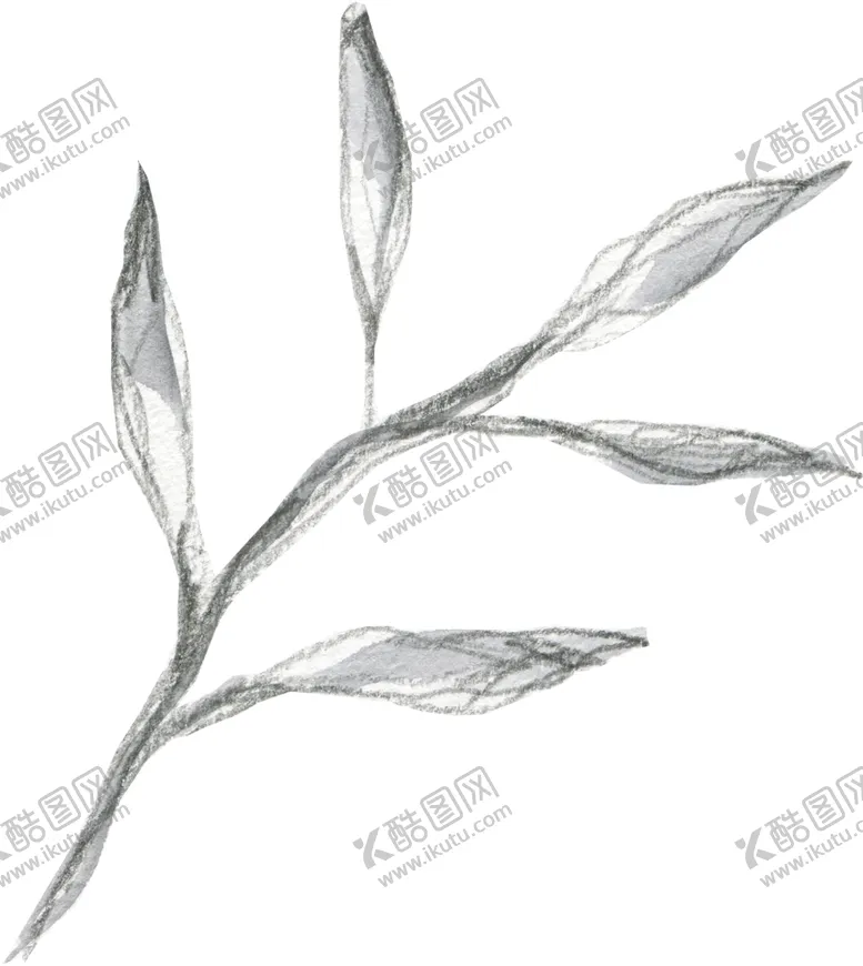 编号：81941606271119191051【酷图网】源文件下载-彩绘枝叶