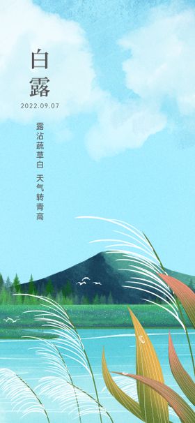 白露海报