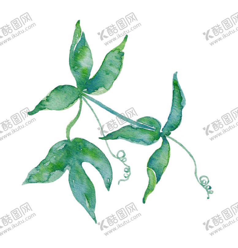 编号：44555605130130175740【酷图网】源文件下载-手绘植物