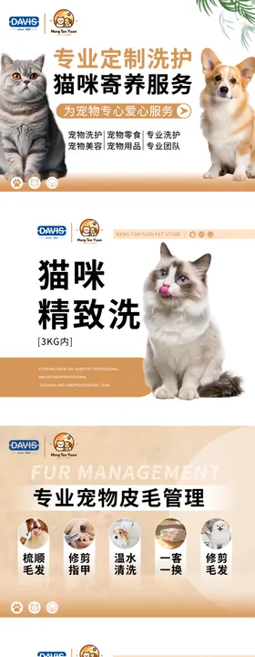 宠物店海报