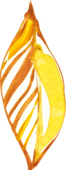 水彩手绘花卉花朵植物