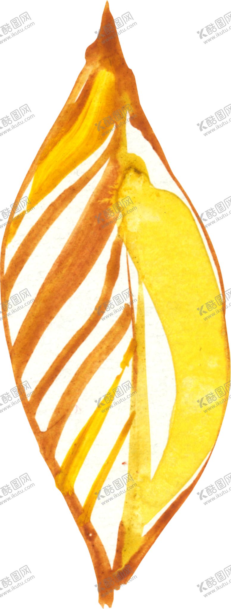 编号：80382509161809434132【酷图网】源文件下载-水彩手绘花卉花朵植物