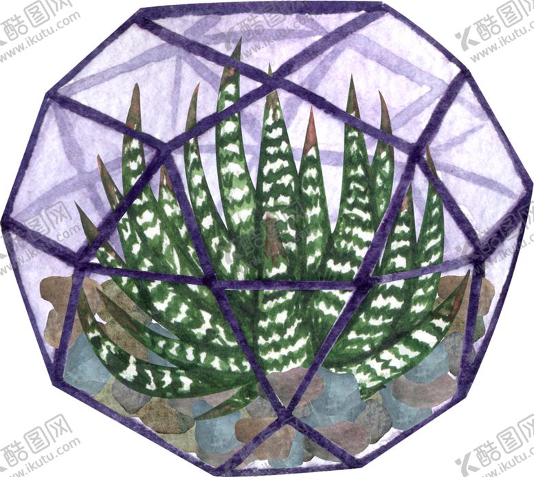 编号：99396606171759124806【酷图网】源文件下载-芦荟水彩插画