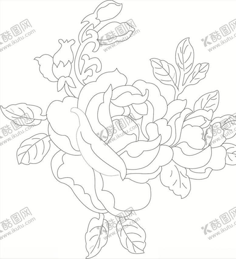 编号：35836107030510485423【酷图网】源文件下载-牡丹