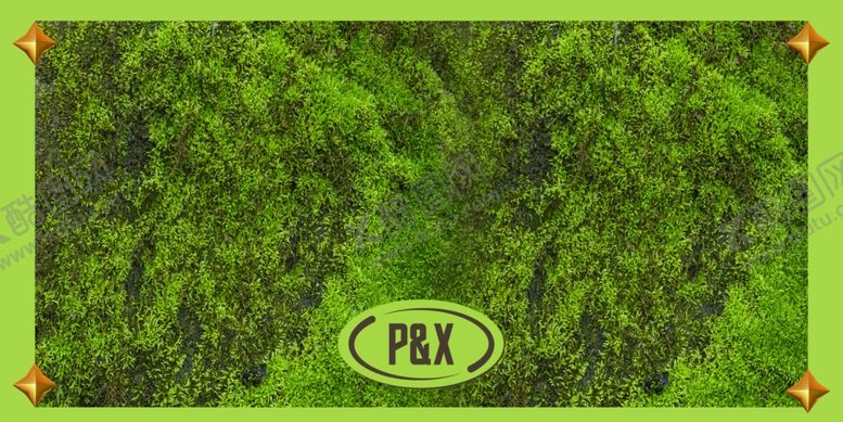 编号：49632804161600417673【酷图网】源文件下载-草坪地贴