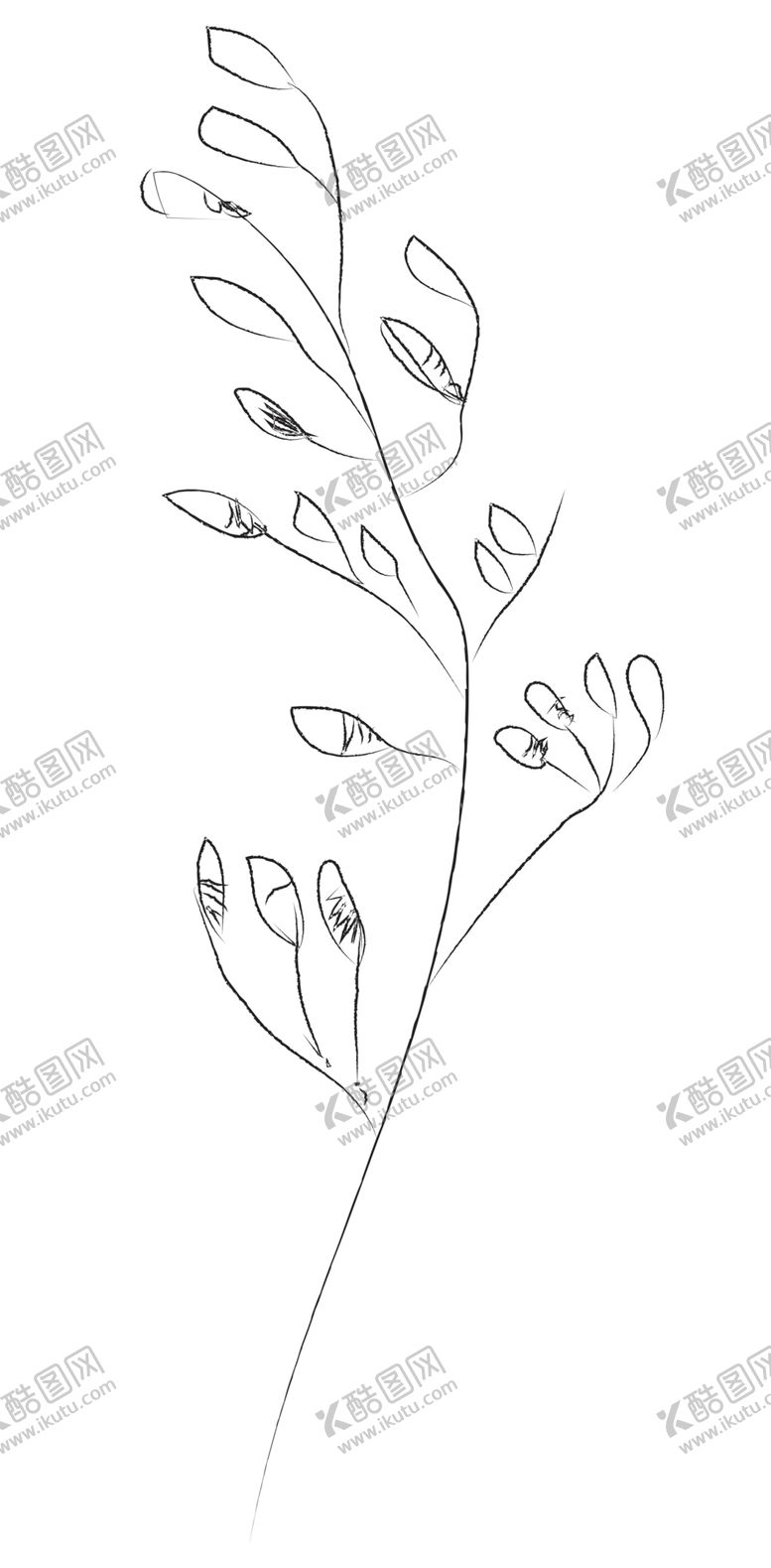 编号：16284009230252318777【酷图网】源文件下载-手绘植物花卉